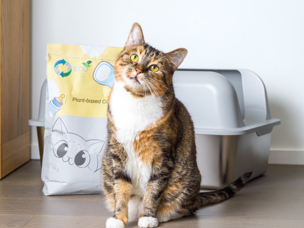 Eco247 Social Media Rebrand & Content&nbsp;Creation